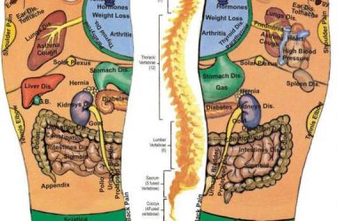Reflexoterapia – Por Silvana Hechem Navarro