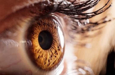 Iridologia Organica e Comportamental | Por Luis Carlos Carvalho