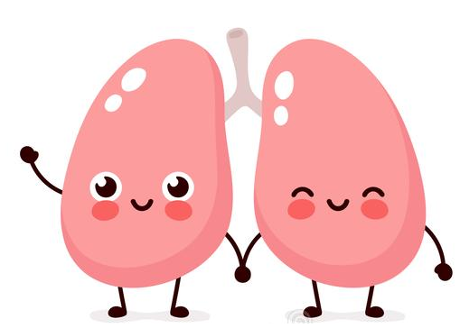 O Pulmao Na Visao Da Mtc Elemento Metal Por Vanessa Marques Instituto Long Tao Blog