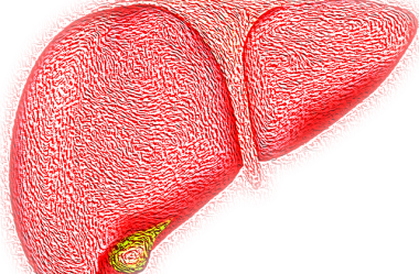 O Fígado na visão da MTC (Elemento Madeira) | Por Vanessa Marques